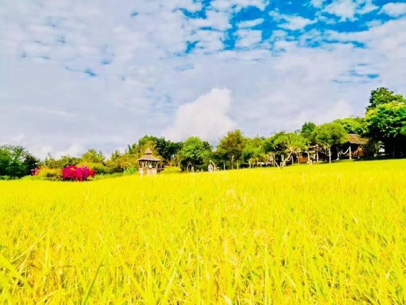 Vimarnkiri Resort Pai Bagian luar foto